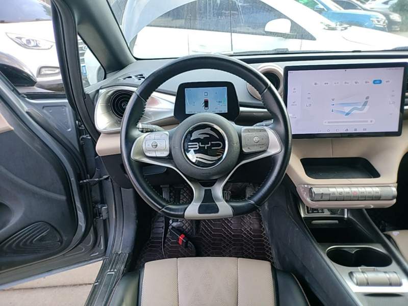 Used BYD Dolphin 2023 420 km Fashion Edition — 10