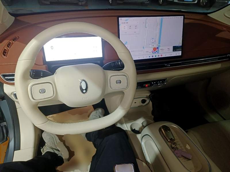 Used ORA Good Cat 2025 Model, 430 km Prestige Version — 9