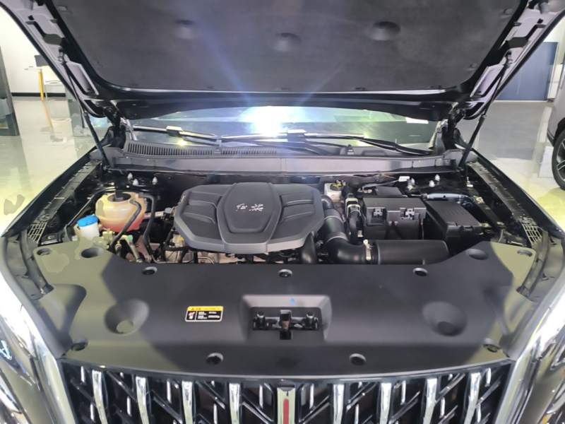 Used Hongqi HS5 2023 2.0T Qixiang Pro Edition — 19