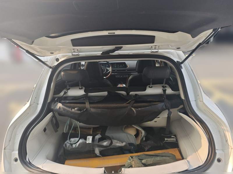 Used ORA Good Cat 2021 500km Long-Range Poseidon Edition Lithium-Ion Battery — 9