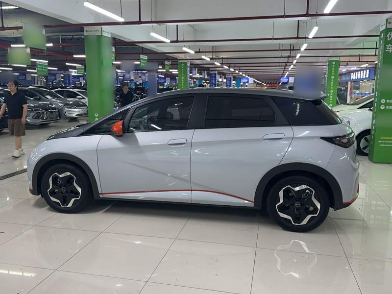 Used BYD Dolphin 2021 405 km Fashion Edition — 29