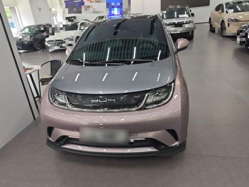 Used BYD Dolphin 2023 401km Knight Edition — 2