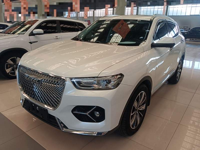 Used Haval H6 2021 1.5T Automatic Champion Edition — 1