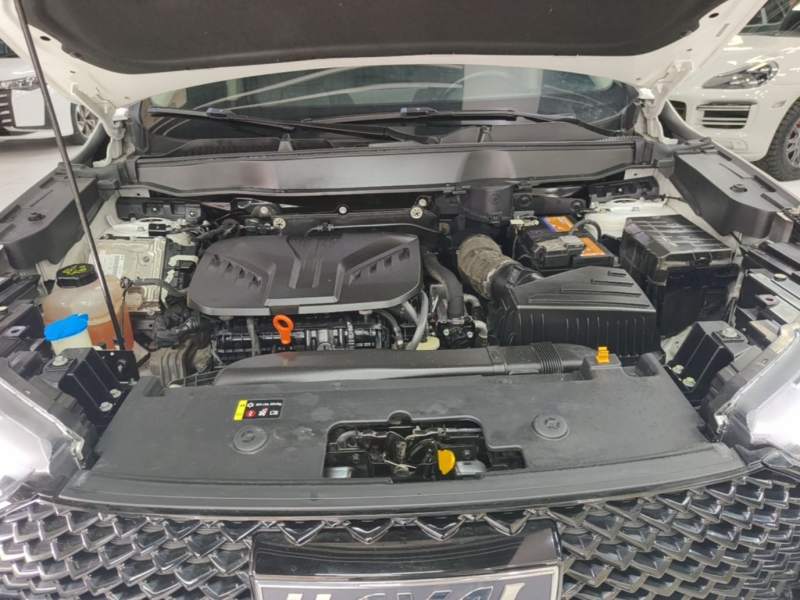 Used Haval H6 2021 3rd Generation 2.0T Automatic Two-Wheel Drive Max — 19