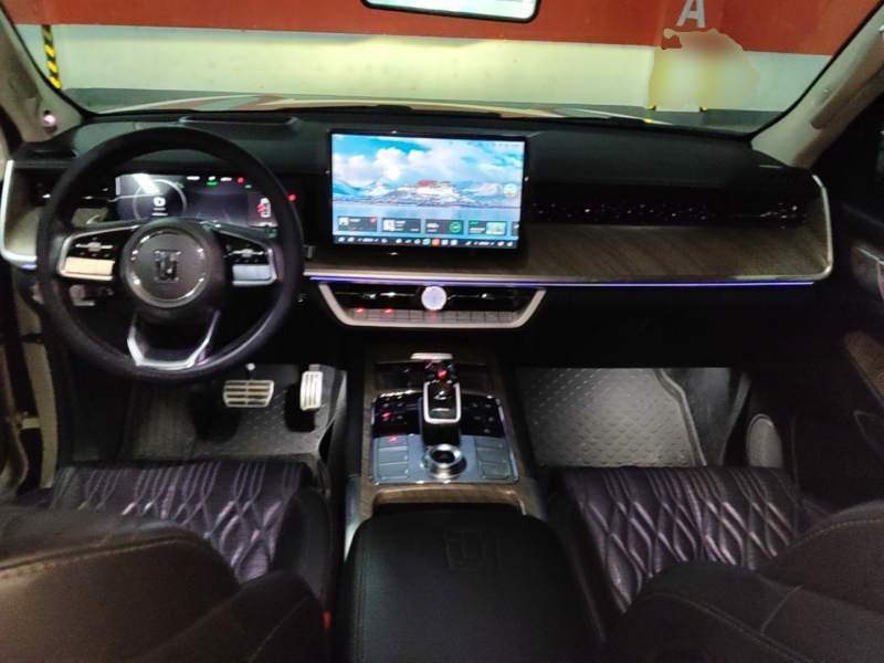 Used Tank 500 2022 3.0T Business Edition “Creation Realm” Design 5-Seater — 10