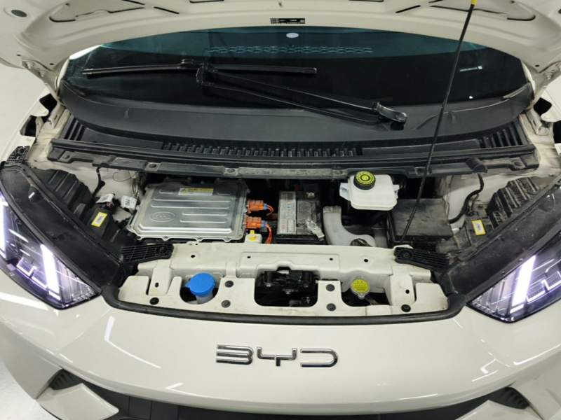 Used BYD Seagull 2023 Flying Edition — 19