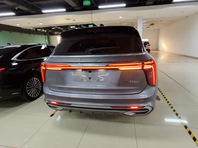 Used Hongqi E-HS9 2021 510 km Range Flagway Edition Six Seats — 5
