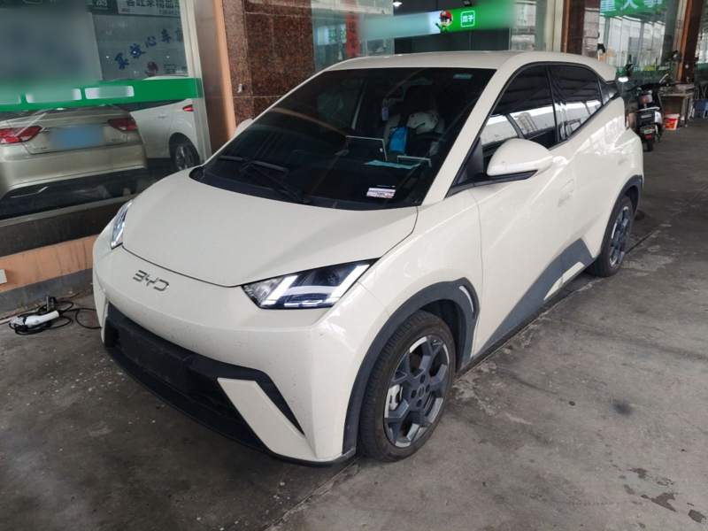Used BYD Seagull 2025 305 km Free Version — 1