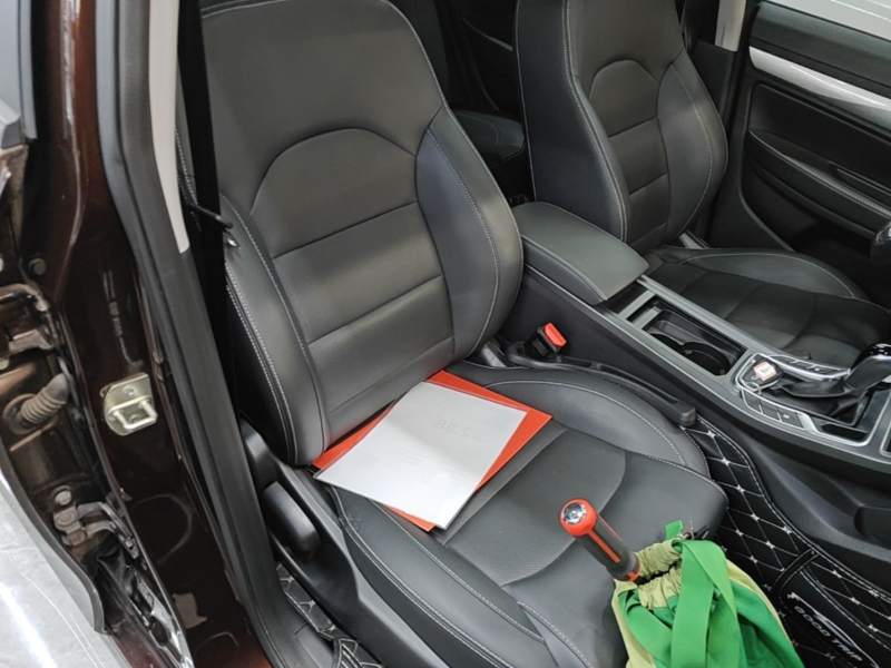 Used Geely Auto Emgrand 2020 1.5L CVT Luxury Model — 24