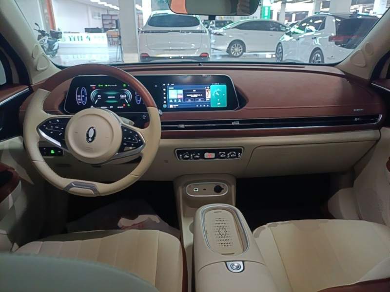 Used ORA Good Cat 2024 401 km Luxury Version — 5