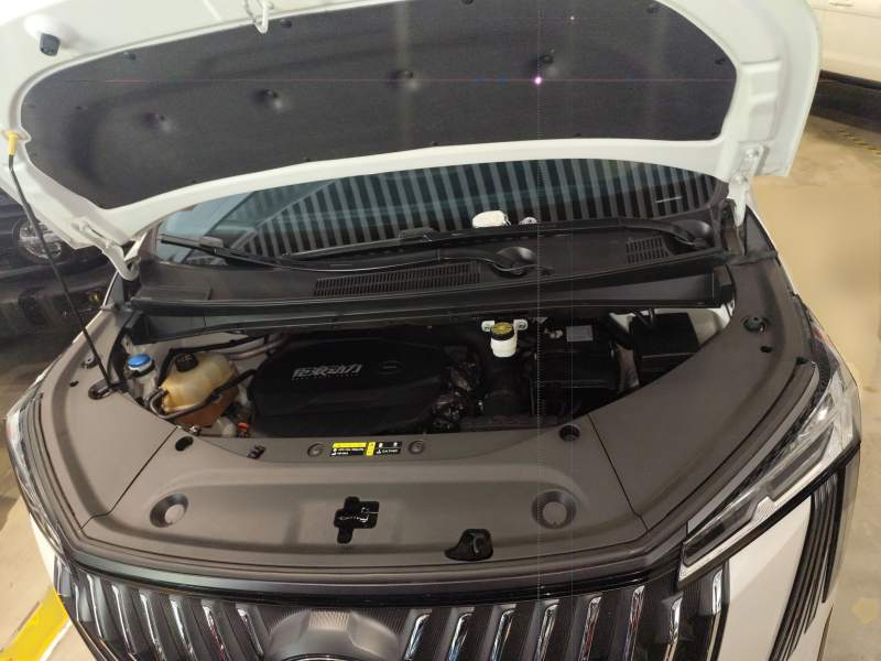Used GAC Trumpchi M8 2024 Master Series 400T Prestige Edition — 19
