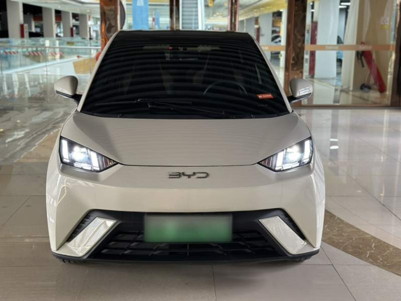 Used BYD Seagull 2025 305 km Free Version — 31