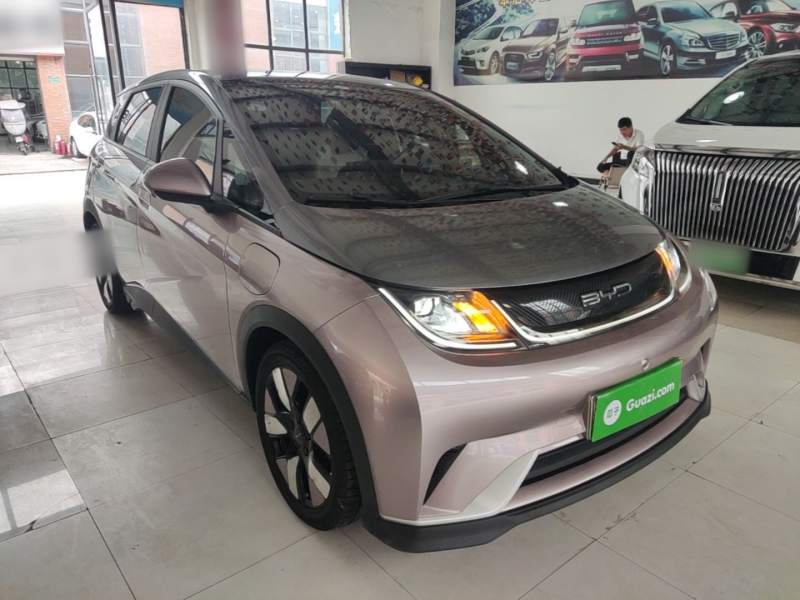 Used BYD Dolphin 2021 401km Knight Edition — 3