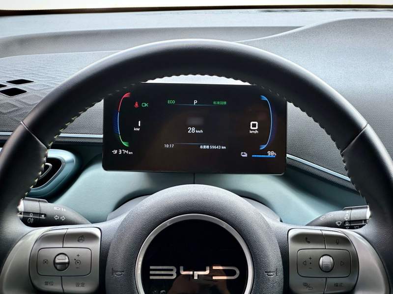 Used BYD Seagull 2023 Flying Edition — 39
