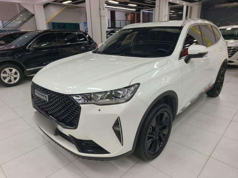 Used Haval H6 2021 3rd Generation 2.0T Automatic Two-Wheel Drive Max