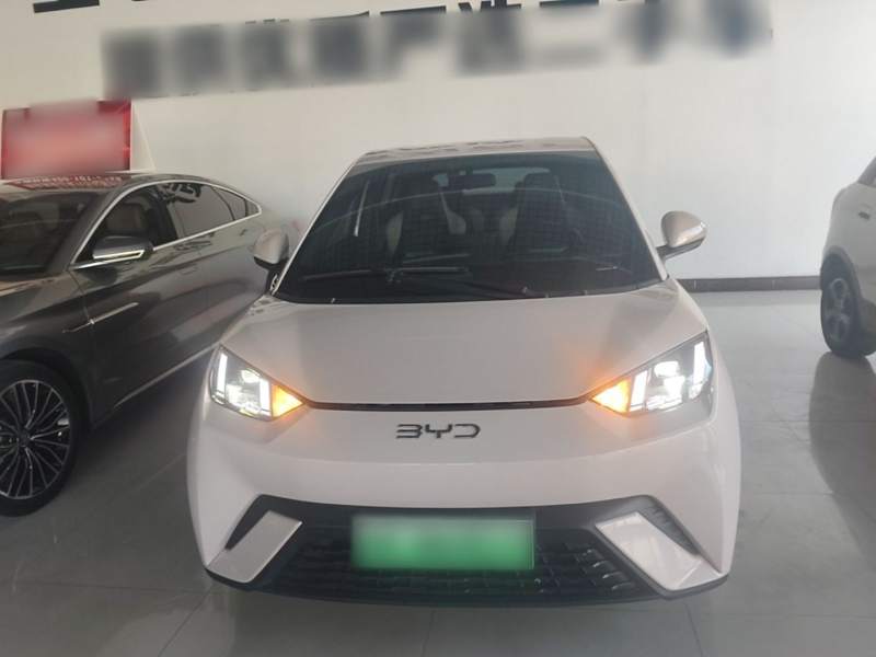 Used BYD Seagull 2024 Honor Edition 305km Freedom Version — 2