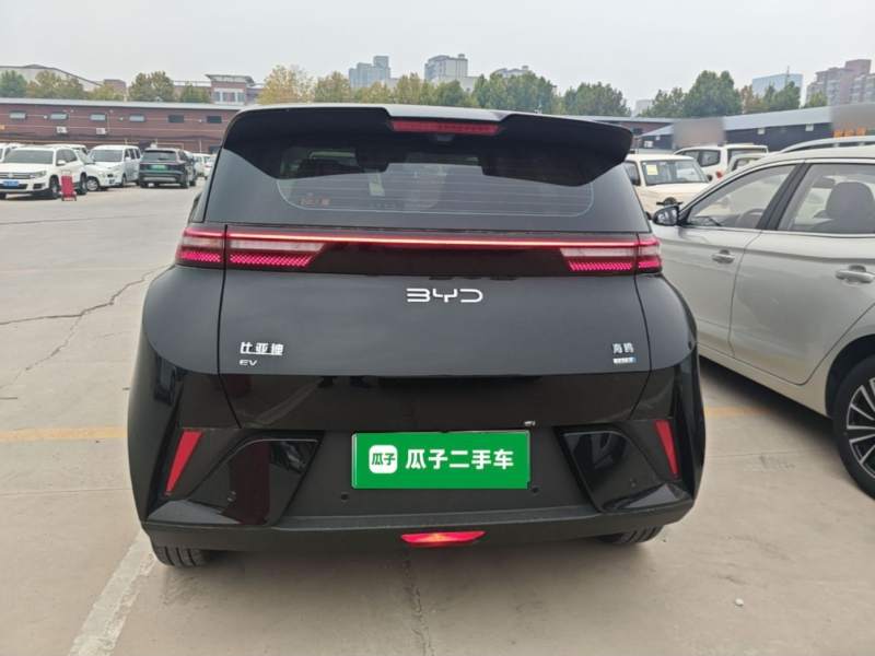 Used BYD Seagull 2025 Smart Drive Version 305 km Freedom Edition — 5