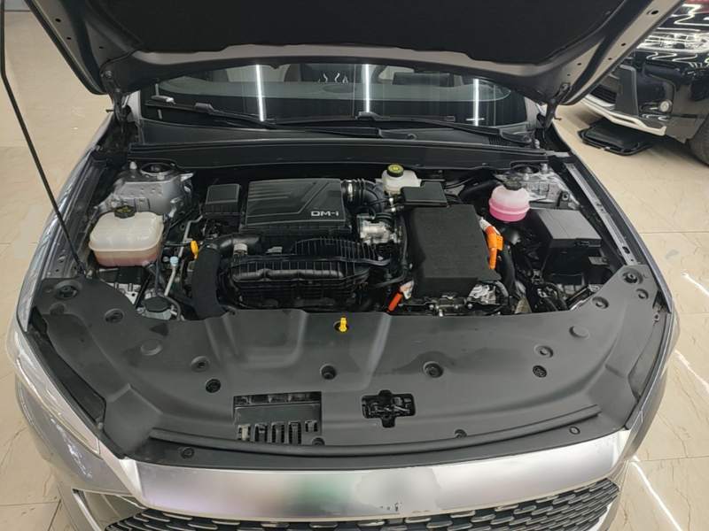 Used BYD Qin PLUS 2024 HONOR Edition DM-i 55KM Leading Model — 19