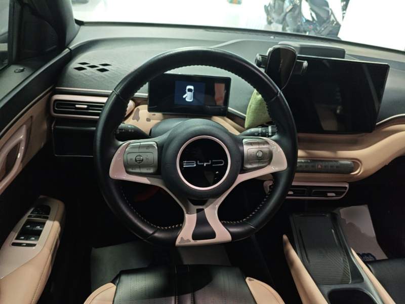 Used BYD Seagull 2024 Honor Edition 305km Freedom Version — 10