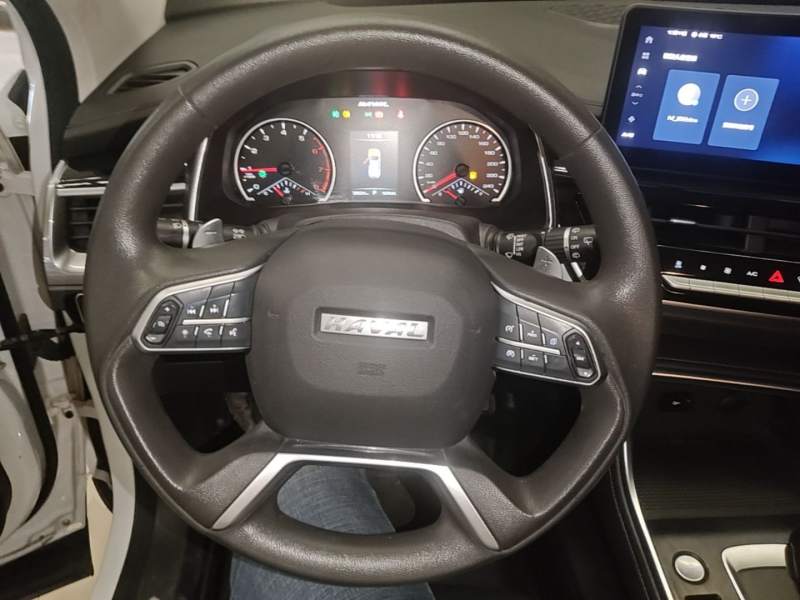 Used Haval H6 2021 National Trend Edition 1.5T Automatic Urban Version — 10