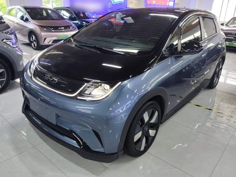Used BYD Dolphin 2025 520km Range Knight Edition