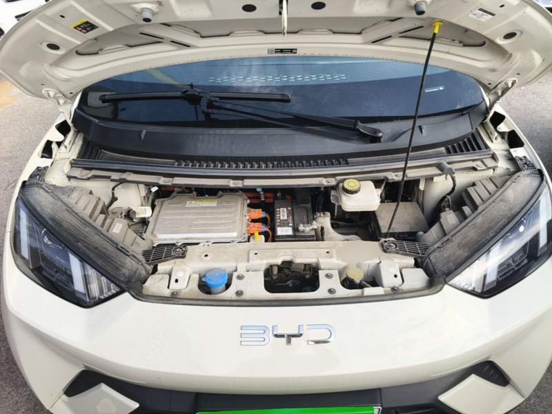 Used BYD Seagull 2025 305km Active Version — 19