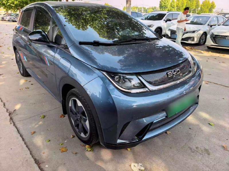 Used BYD Dolphin 2024 Honor Edition 420km Freedom Version — 12