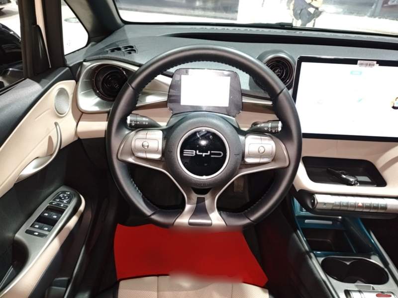 Used BYD Dolphin 2023 420 km Fashion Edition — 10