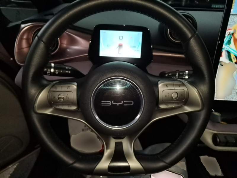 Used BYD Dolphin 2021 405 km Fashion Edition — 10