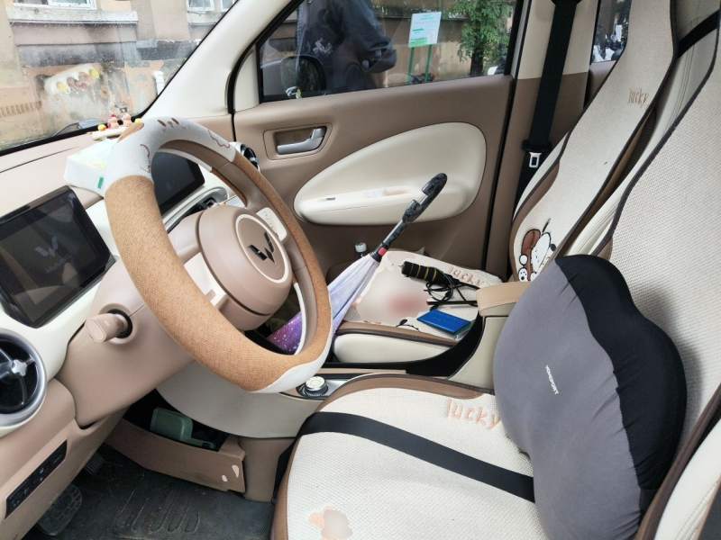 Used Wuling Hongguang MINIEV 2025 Four-Door Version Zhenxiang+ Edition — 16