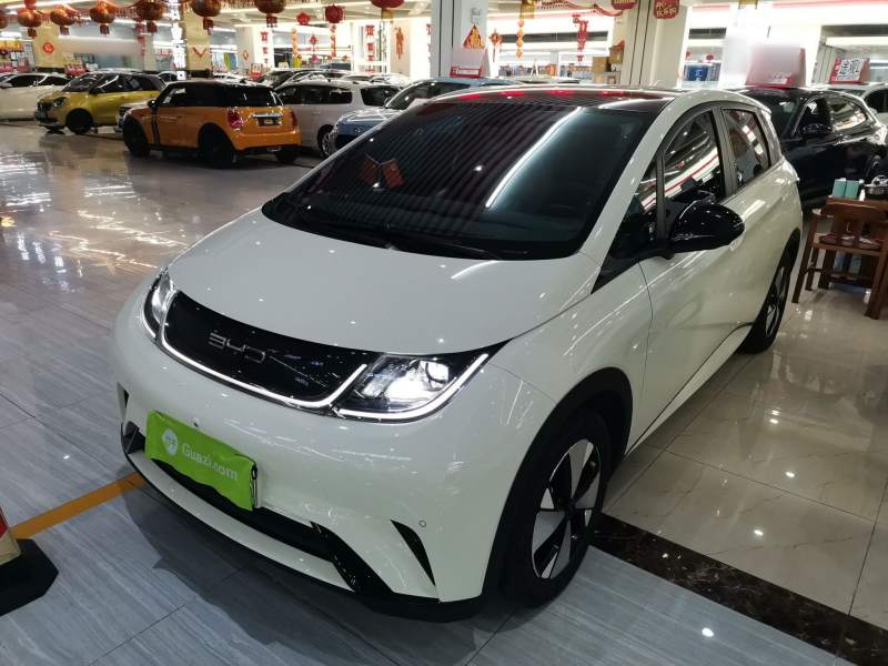 Used BYD Dolphin 2023 420 km Fashion Edition