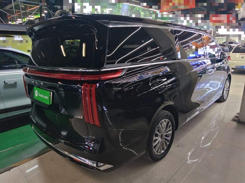 Used Wey Gaoshan 2023 Four-Wheel-Drive Executive Extended Version — 6