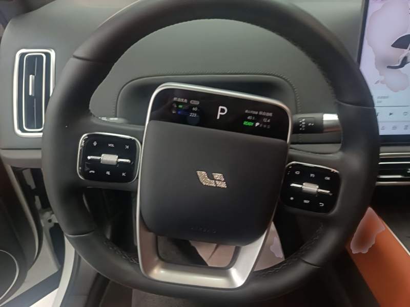 Used Li Auto L6 2024 Pro Model — 10