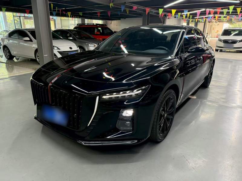 Used Hongqi H5 2025 2.0T Automatic Xuan Ying Edition — 30