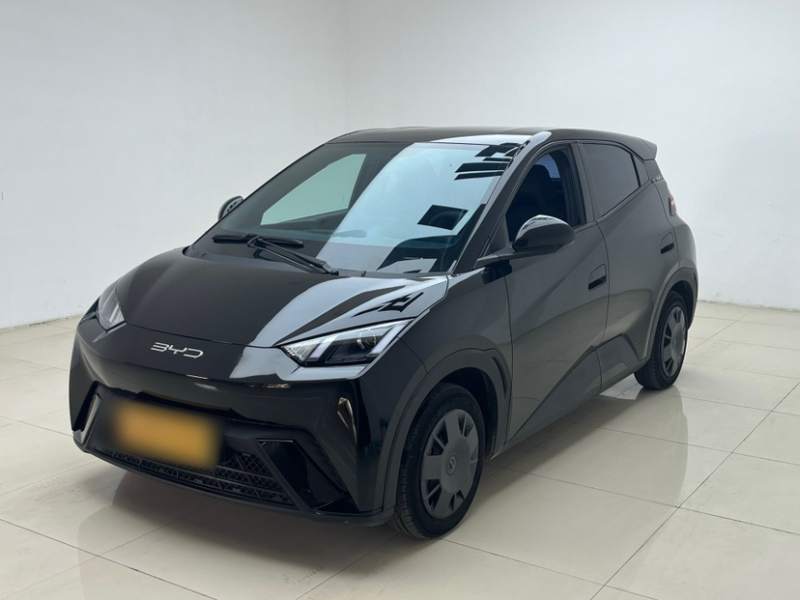 Used BYD Seagull 2024 Honor Edition 305km Dynamic Version — 1