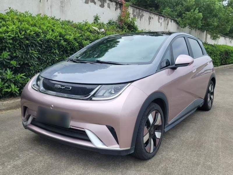 Used BYD Dolphin 2021 401km Knight Edition — 1