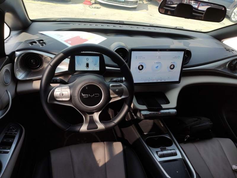Used BYD Dolphin 2025 420km Free Edition — 9