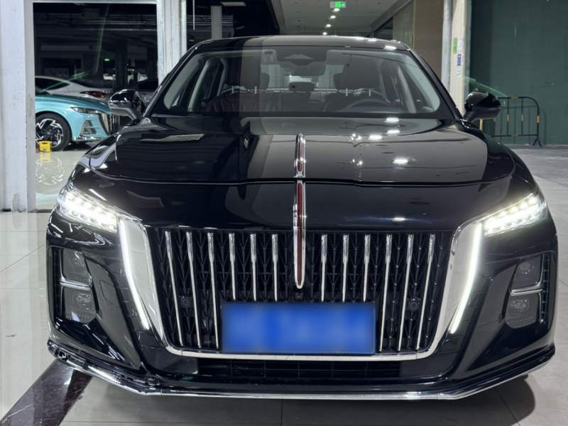 Used Hongqi H5 2025 2.0T Automatic Flag Edition – 500 000 Units Commemorative Version — 29