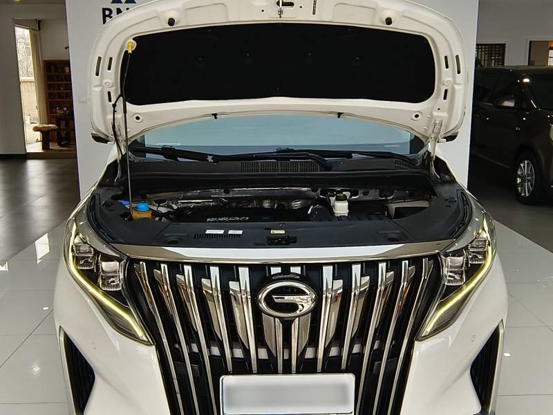 Used GAC Trumpchi M8 2021 Master Series 390T Prestige Edition — 25