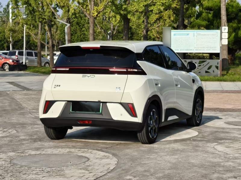 Used BYD Seagull 2025 Smart Drive Version 305 km Freedom Edition — 31