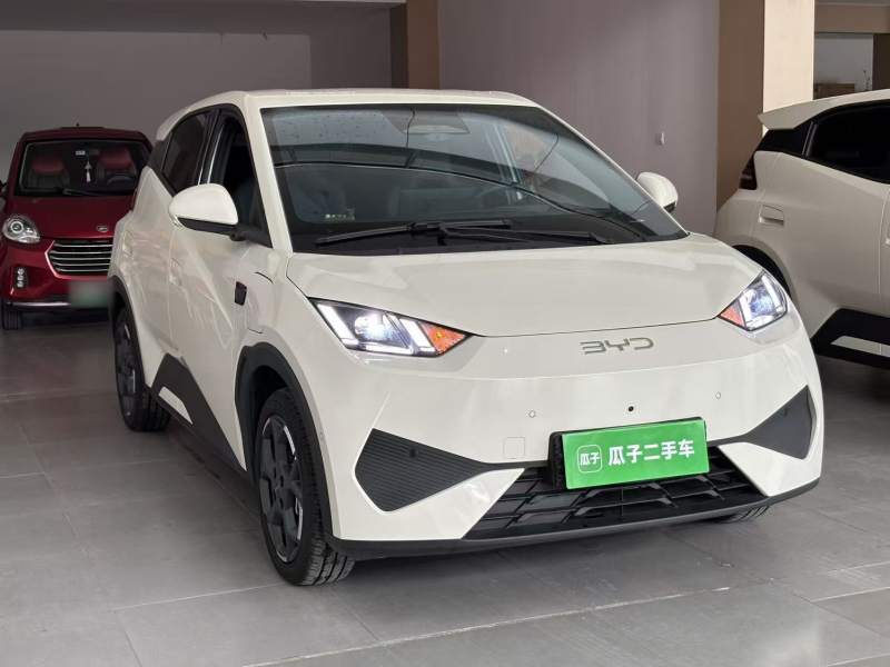 Used BYD Seagull 2025 Smart Drive Version 305 km Freedom Edition — 3