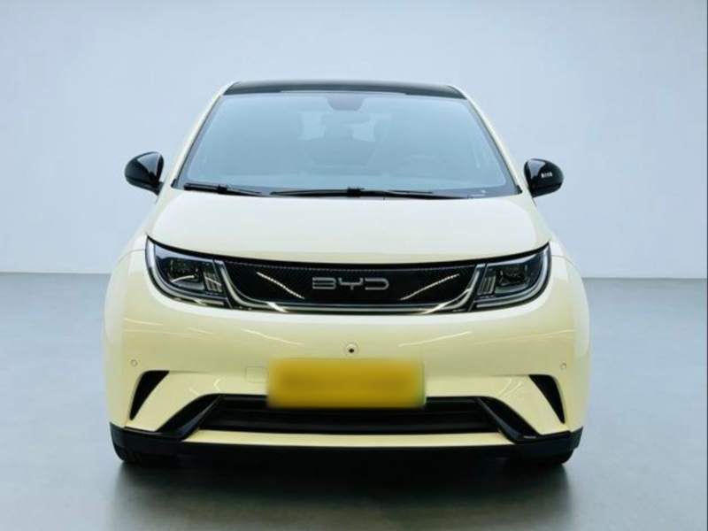 Used BYD Dolphin 2023 420 km Fashion Edition — 28