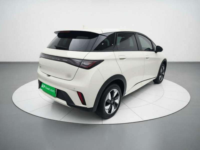 Used BYD Dolphin 2025 420km Free Edition — 6