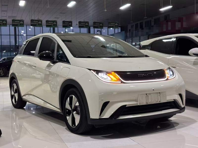 Used BYD Dolphin 2023 420 km Fashion Edition — 3