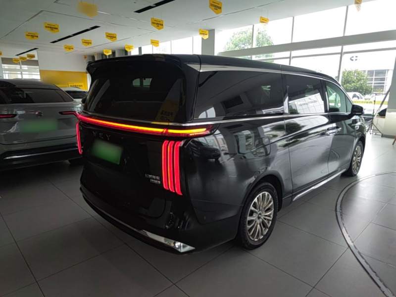 Used Wey Gaoshan 2023 Four-Wheel-Drive Executive Extended Version — 6