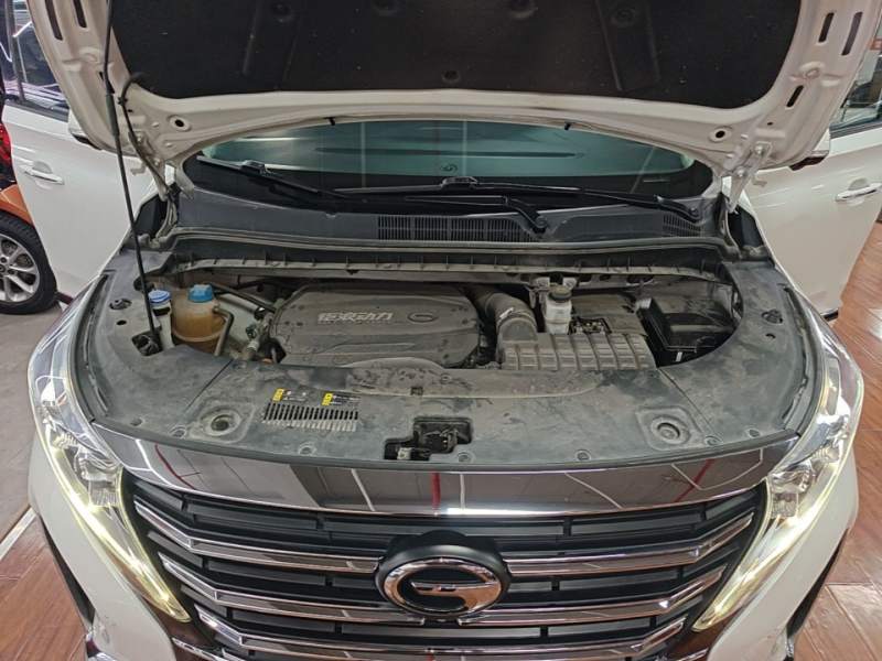 Used GAC Trumpchi M8 2021 Lingxiu Series 390T Ultimate Edition — 19