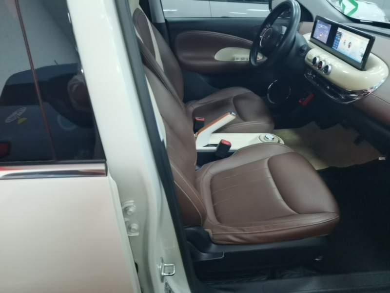 Used Wuling Bingo 2023 203km Comfort Edition — 24