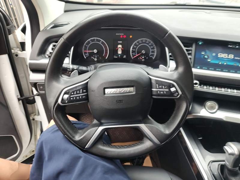 Used Haval H6 2018 Red-Label 2.0T Automatic Luxury Model — 10