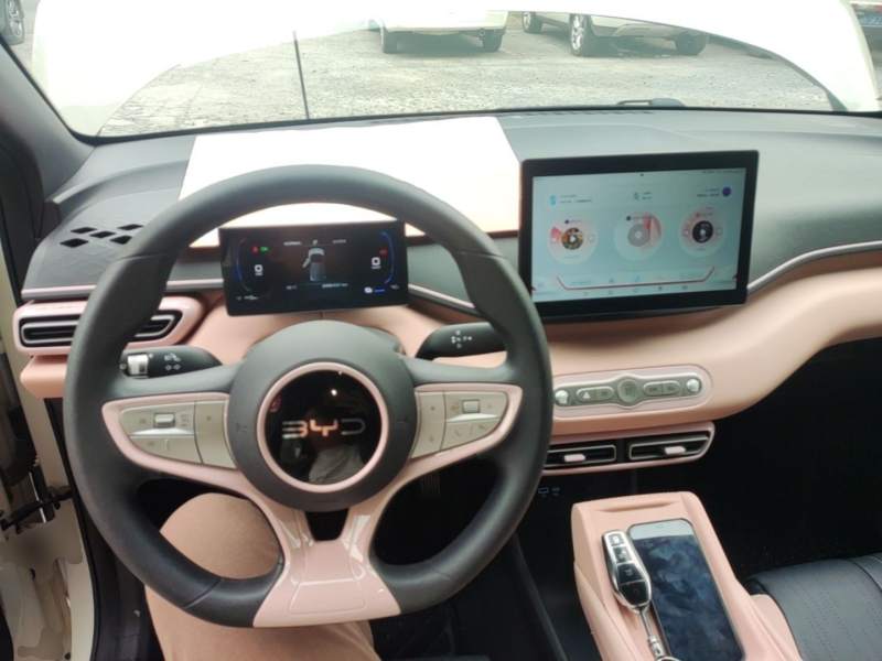 Used BYD Seagull 2025 Intelligent Driving Version 305 km Dynamic Edition — 9