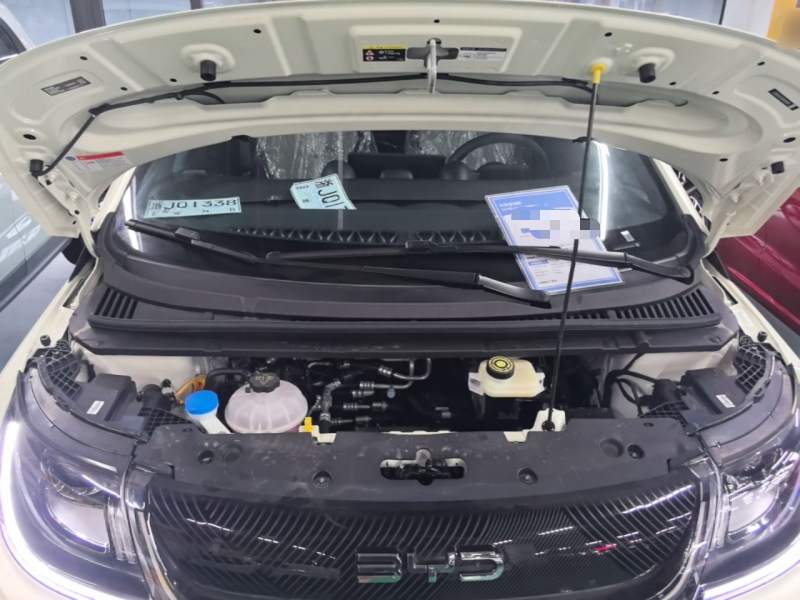 Used BYD Dolphin 2025 420km Free Edition — 19